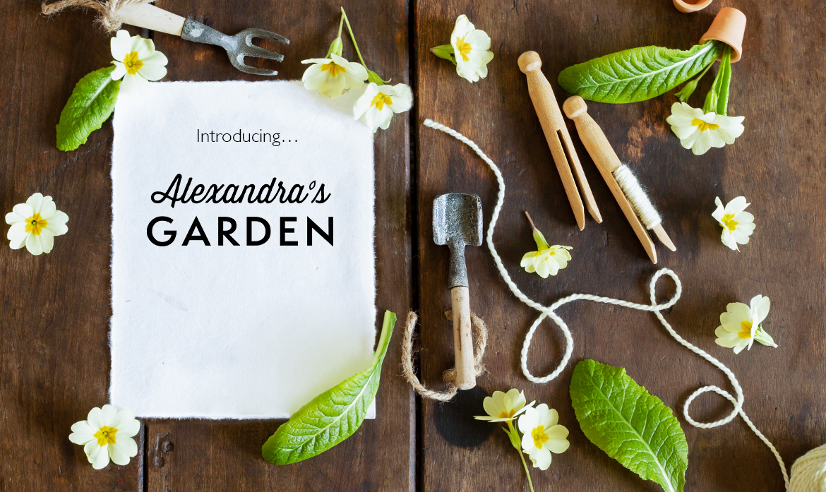 Introducing Alexandra's Garden crochet flower book primrose pages